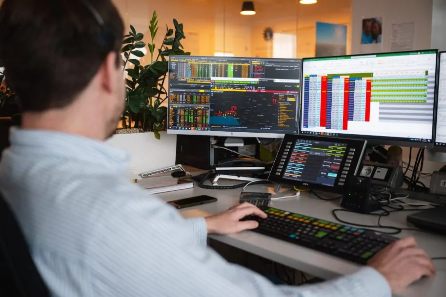 Risk   - dekorativní obrázek